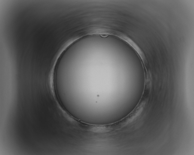 X0000101650909200807171250