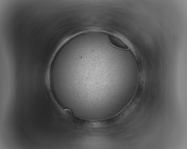 X0000101650911200807171250