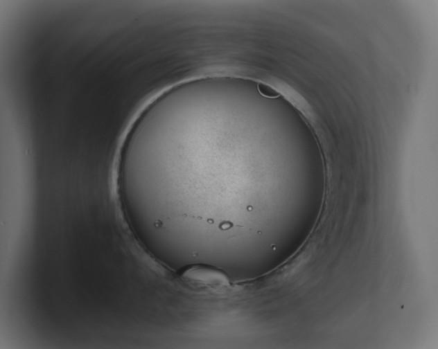 X0000101650912200807171250