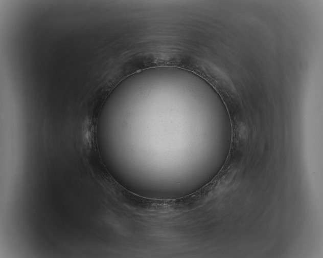 X0000101650914200807171250