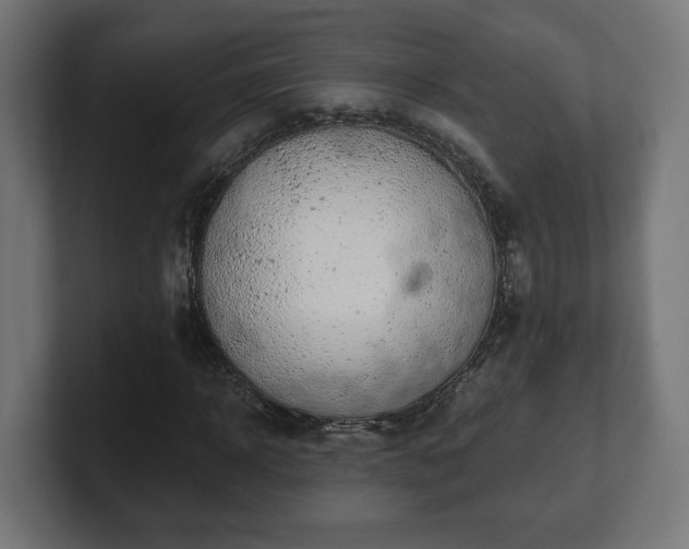 X0000101650918200807171250