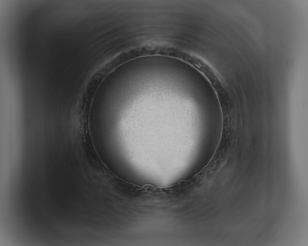 X0000101650919200807171250