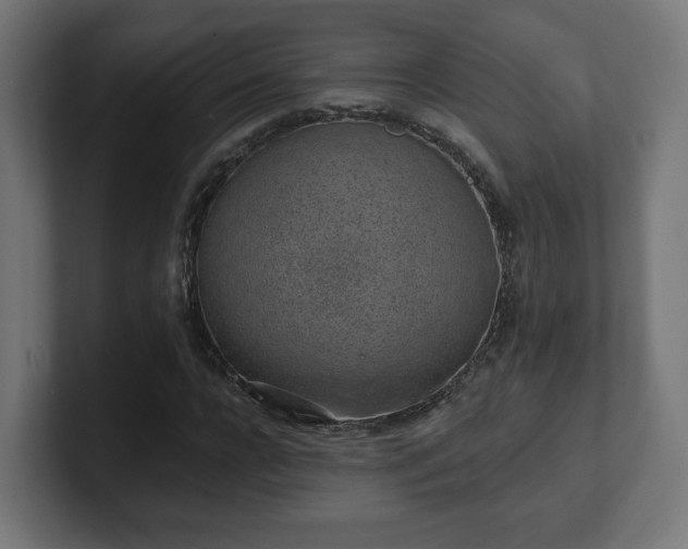 X0000101650920200807171250