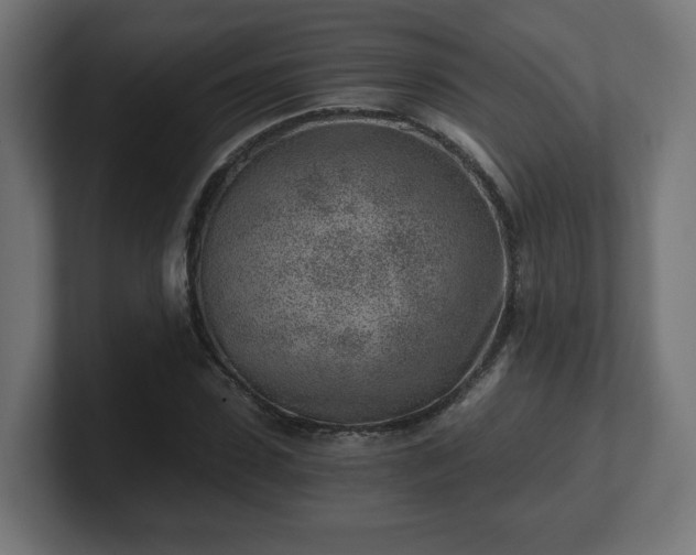 X0000101650923200807171250