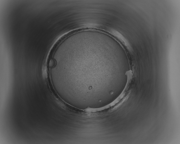 X0000101650924200807171250