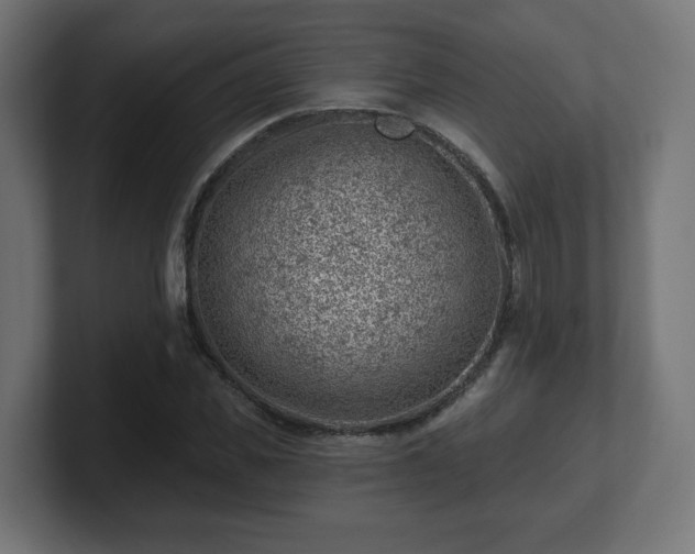 X0000101650925200807171250