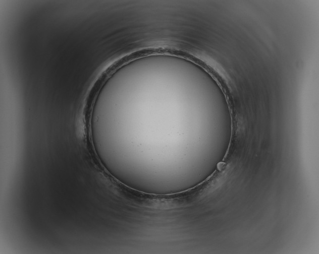 X0000101650927200807171250