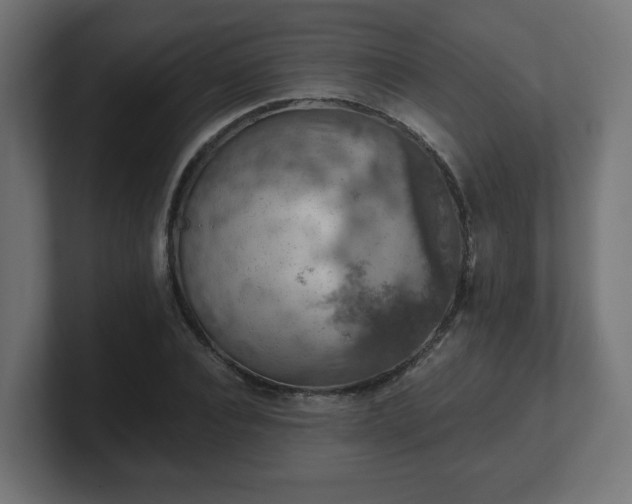 X0000101650928200807171250