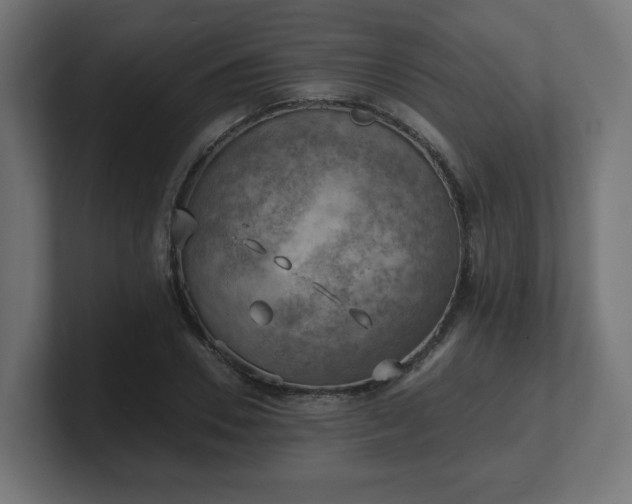 X0000101650930200807171250