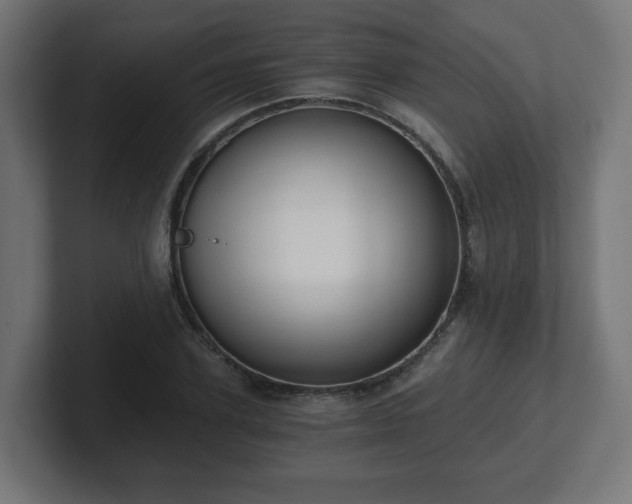 X0000101650931200807171250