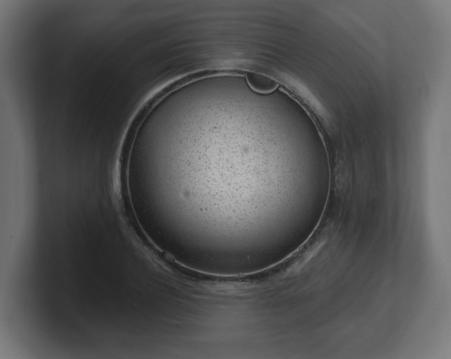 X0000101650932200807171250