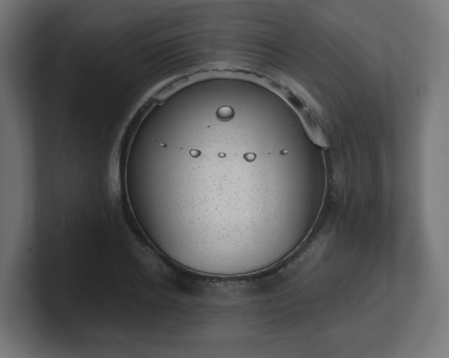 X0000101650934200807171250