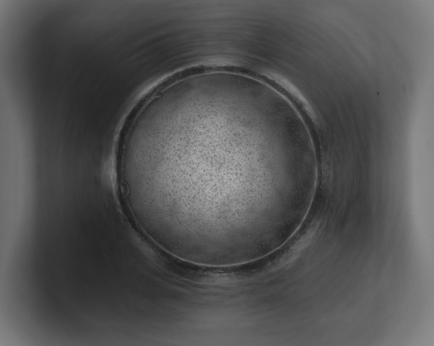 X0000101650935200807171250