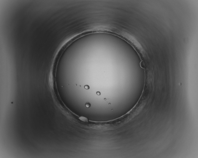 X0000101650936200807171250