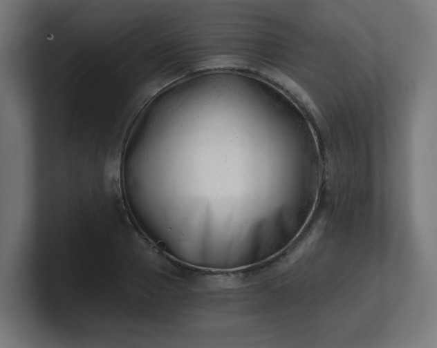 X0000101650937200807171250