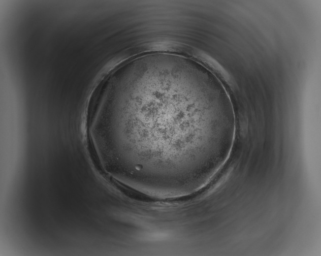 X0000101650938200807171250