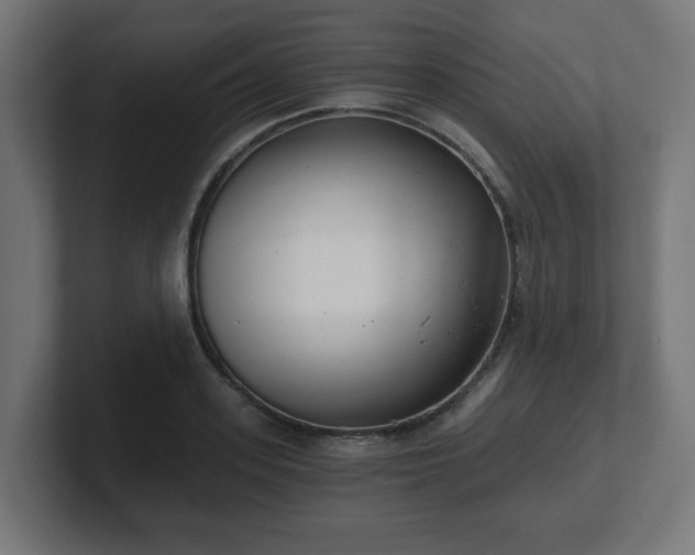 X0000101650939200807171250