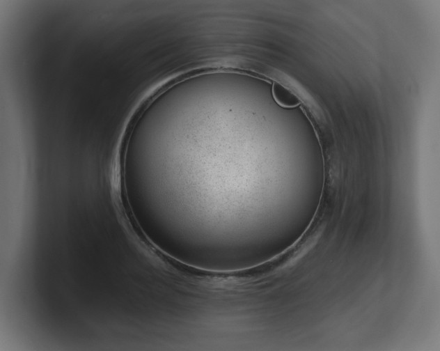 X0000101650940200807171250