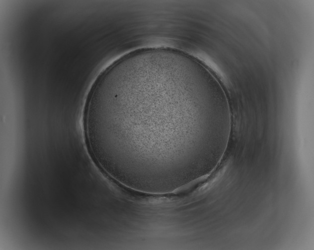 X0000101650943200807171250