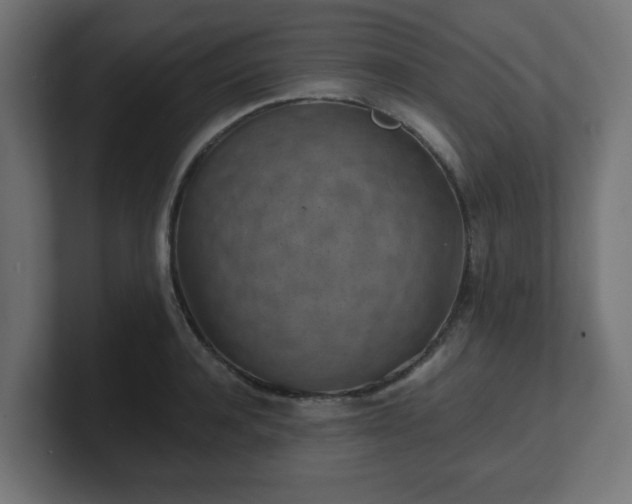 X0000101650944200807171250