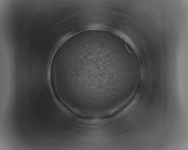 X0000101650946200807171250