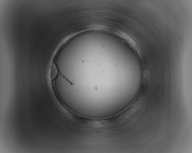 X0000101650947200807171250