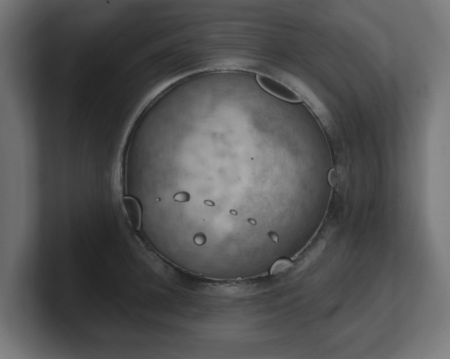 X0000101650948200807171250