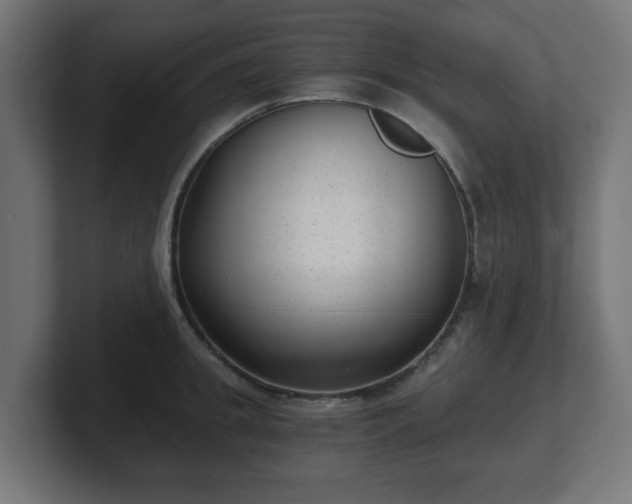 X0000101650949200807171250