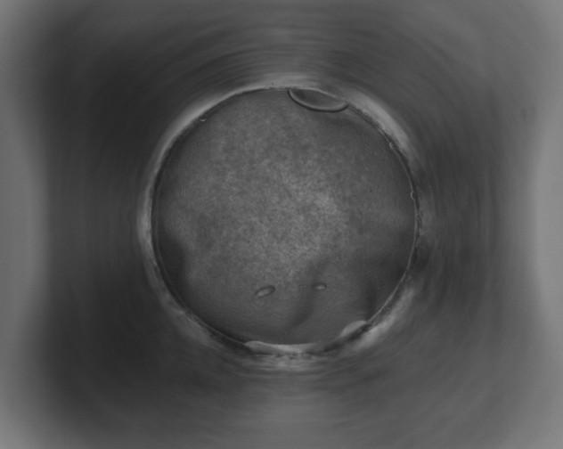 X0000101650952200807171250