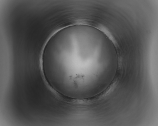 X0000101650955200807171250