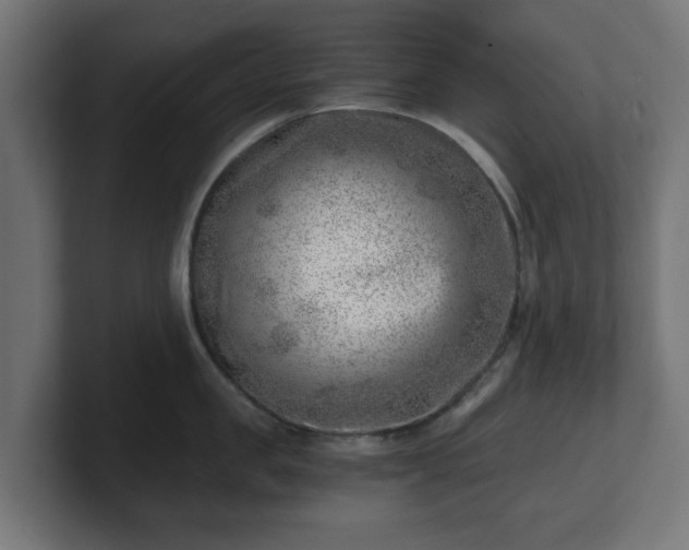 X0000101650957200807171250