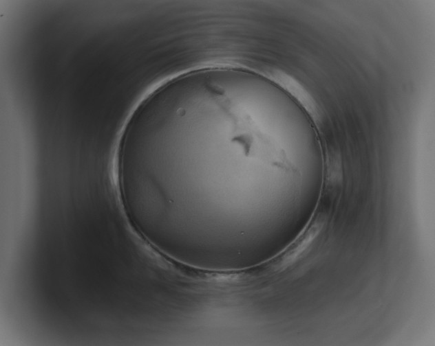 X0000101650958200807171250