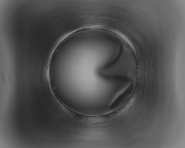 X0000101650959200807171250