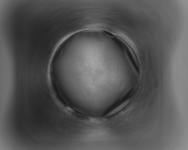 X0000101650960200807171250