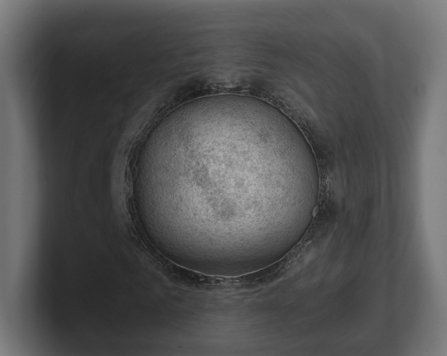 X0000101650961200807171250