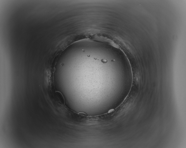 X0000101650964200807171250