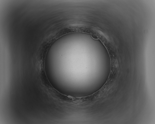 X0000101650965200807171250