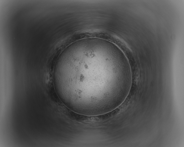 X0000101650966200807171250