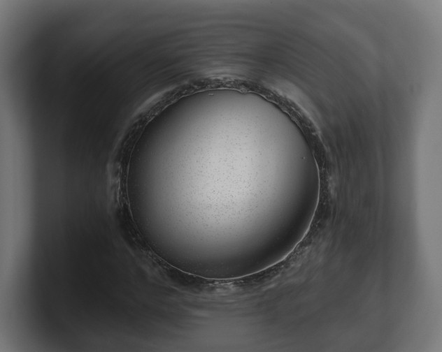 X0000101650968200807171250