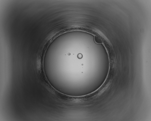 X0000101650969200807171250