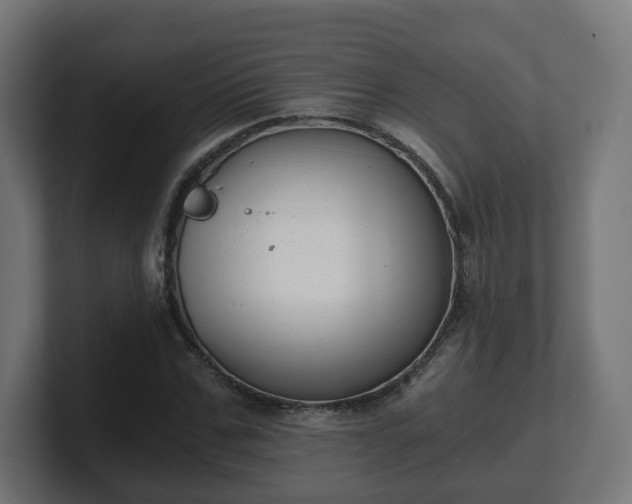 X0000101650971200807171250