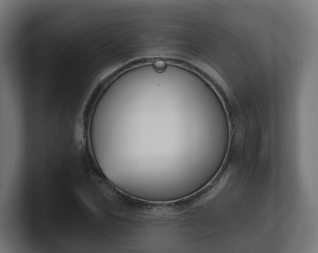 X0000101650974200807171250