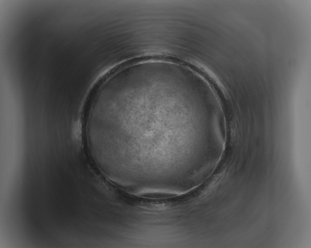 X0000101650975200807171250