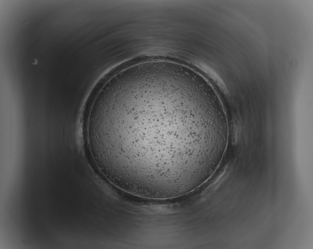 X0000101650976200807171250