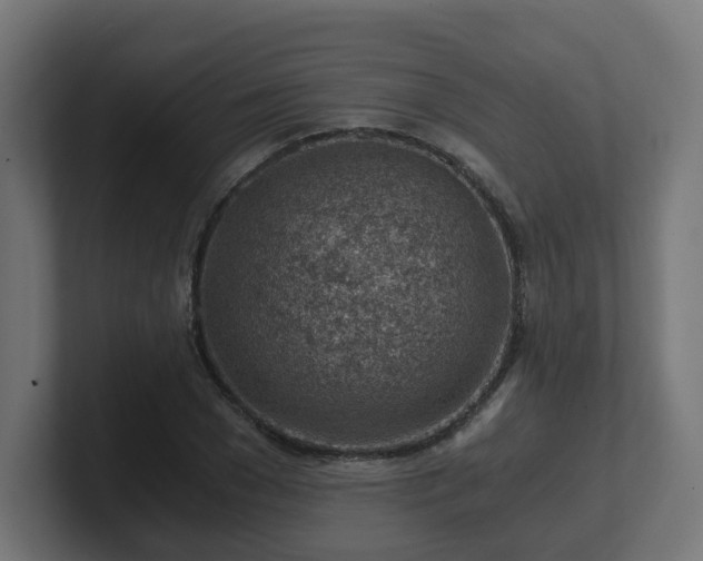 X0000101650977200807171250