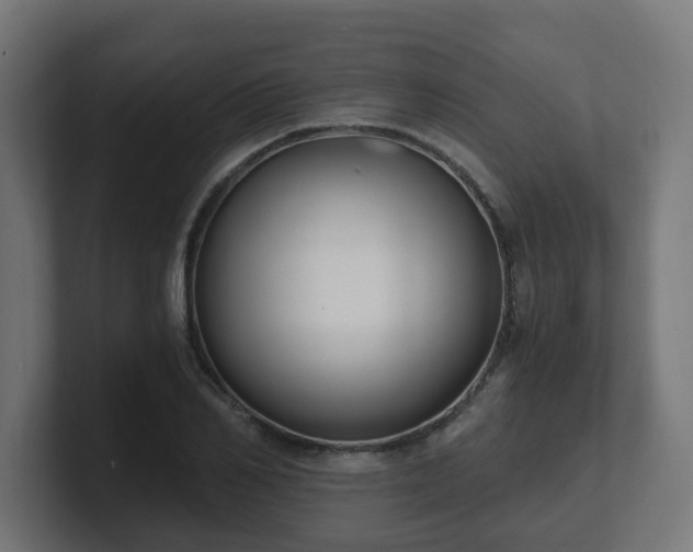 X0000101650982200807171250