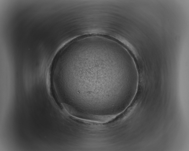 X0000101650983200807171249