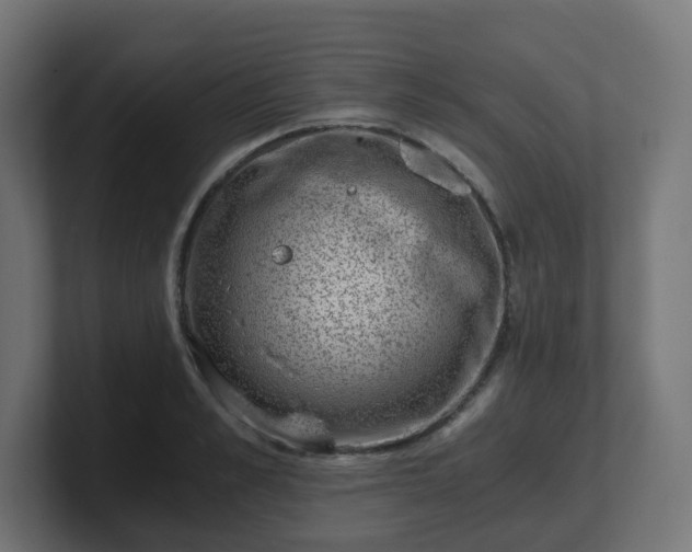 X0000101650989200807171249