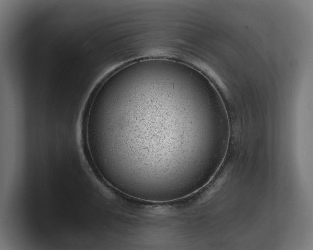 X0000101650991200807171249