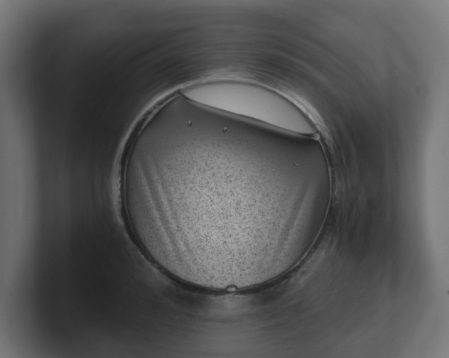 X0000101650992200807171249